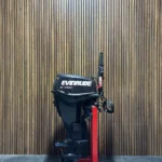 2010 Evinrude E-TEC 25 HP EFI outboard engine