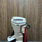 2009 Evinrude E-TEC 50 HP outboard engine