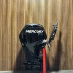 2018 Mercury 100 HP EFI outboard engine