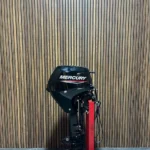 2025 Mercury 20 HP EFI outboard engine