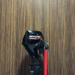 2023 Mercury 25 HP EFI outboard engine
