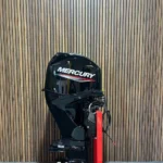 Mercury 60 HP EFI outboard engine