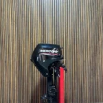 2025 Mercury F15EL outboard engine