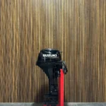 2021 Suzuki DF15A outboard engine